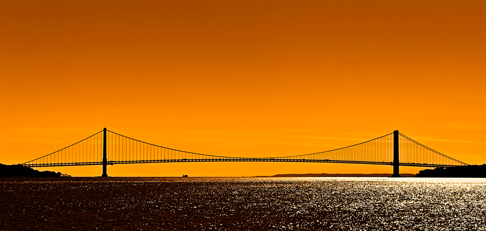 Verrazano Narrows Bridge3